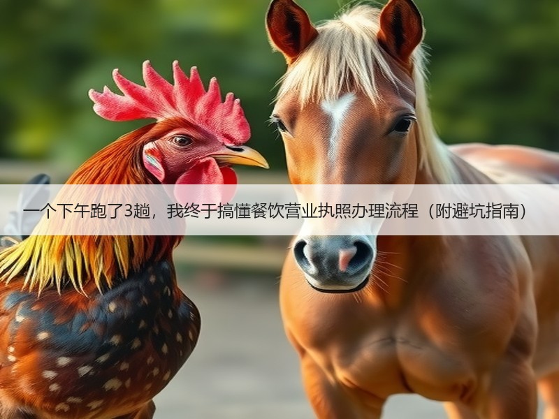 一个下午跑了3趟，我终于搞懂餐饮营业执照办理流程（附避坑指南）
